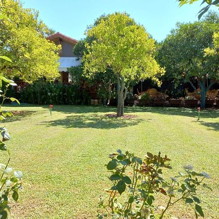 Bahce Villa Çıralı Eksteriør bilde